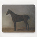 Search for horse stable mousepads Dressage