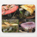 Search for mushroom mousepads Wild