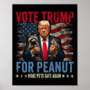 Search for anti hillary art Democrate