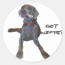 Search for weimaraner stickers Animals