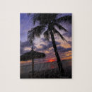 Search for aruba puzzles Vacations