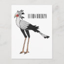 Search for secretary postcards Sagittarius serpentarius