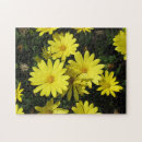 Search for daisy puzzles Yellow flower