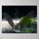 Search for bald eagles art Photography