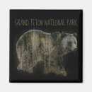 Search for forest park magnets Grand teton national park