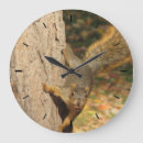 Search for squirrel clocks Autumn
