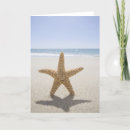 Search for the of cods cards Summer