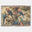 Search for parrot blankets Botanical