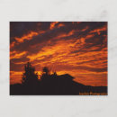 Search for sunrise postcards Red