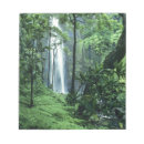 Search for rainforest cards invites Vacation