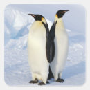 Search for antarctica stickers Wildlife