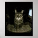 Search for meme posters Funny