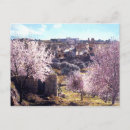 Search for mount of olives postcards Christianity