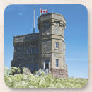Search for newfoundland coasters Outdoor
