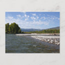 Search for snake river postcards Wyoming