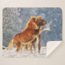 Search for horse photo blankets Horses