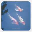 Search for japanese koi fish stickers Swimming