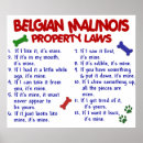 Search for belgian malinois art Funny