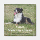Search for aussie shepherd magnets Pets