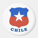 Search for chile home living Santiago