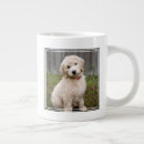 Search for goldendoodle puppy mugs Mix breed