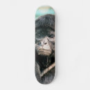 Search for monkey skateboards Animal
