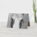 Search for thor cards Wyoming