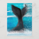 Search for whale postcards Swimming