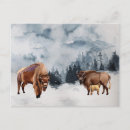 Search for buffalo postcards Woodland