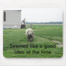 Search for mud mousepads Animals