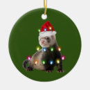Search for ferret christmas tree decorations Santa