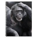 Search for chimpanzees notebooks Animal