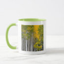 Search for populus mugs Aspen
