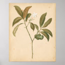 Search for art deco pattern posters Motif