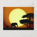 Search for elephant silhouette postcards Safari