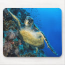 Search for red sande mousepads Ocean