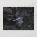 Search for damselfly postcards Blue