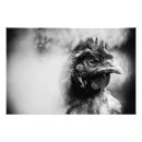 Search for beak posters Chicken