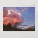Search for medium format postcards Jaynes gallery