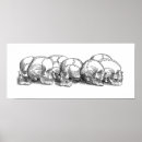Search for black white skull posters Goth