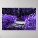 Search for fairy magic posters Enchanting