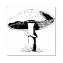 Search for mushroom rubber stamps Fungi