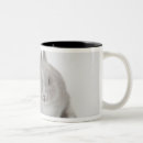Search for lop mugs Animal