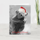 Search for koala christmas cards Australia