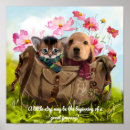 Search for cute kitten and puppy posters Dog