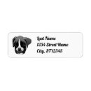 Search for boxer return address labels Animal