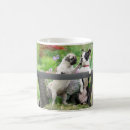 Search for funny boston terrier mugs Puppy
