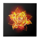 Search for fire tiles Phoenix