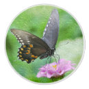Search for butterfly drawer knobs and pulls Insect