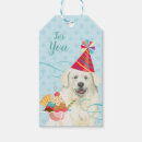 Search for great pyrenees birthday Puppy